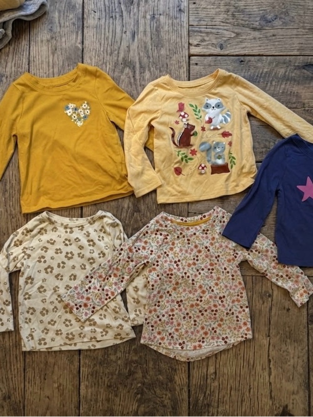 Huge Fall Autumn Halloween, Toddler Girl Clothing Lot Bundle 18M 24M 2T Seasonal - Picture 5 of 9